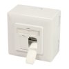 Cat.6 Netzwerkdose UP+AP, 2x RJ45 geschirmt, reinweiß