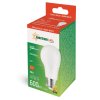 LED-E27BI/7W/470ww 230V 600lm LED-Glühlampe "F" w-weiß