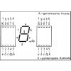 D350PA Sieben-Segment-Anzeige 1-stellig, 13,5mm rot