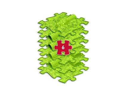 set snake lime w03