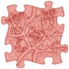 roots coral w01 (1)