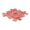 roots coral w03