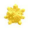 crystal big lemon w01