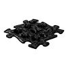 chestnuts black w03