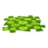 meadow lime w02