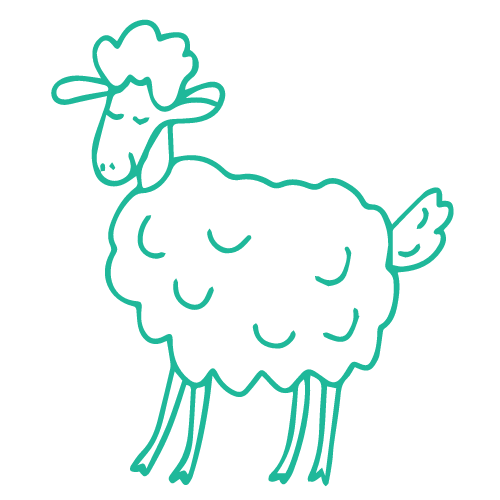 sheep