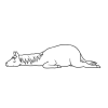 kůň