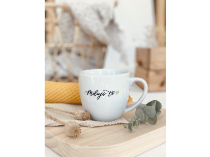 379ECAEA 6017 4D9C A70B 180AD02648CB