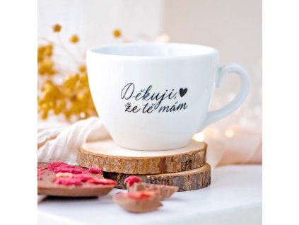 DekujiZeTeMam