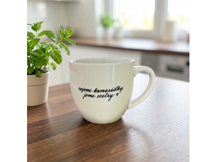 Hrnek 330 ml - Nejsme kamarádky, jsme sestry