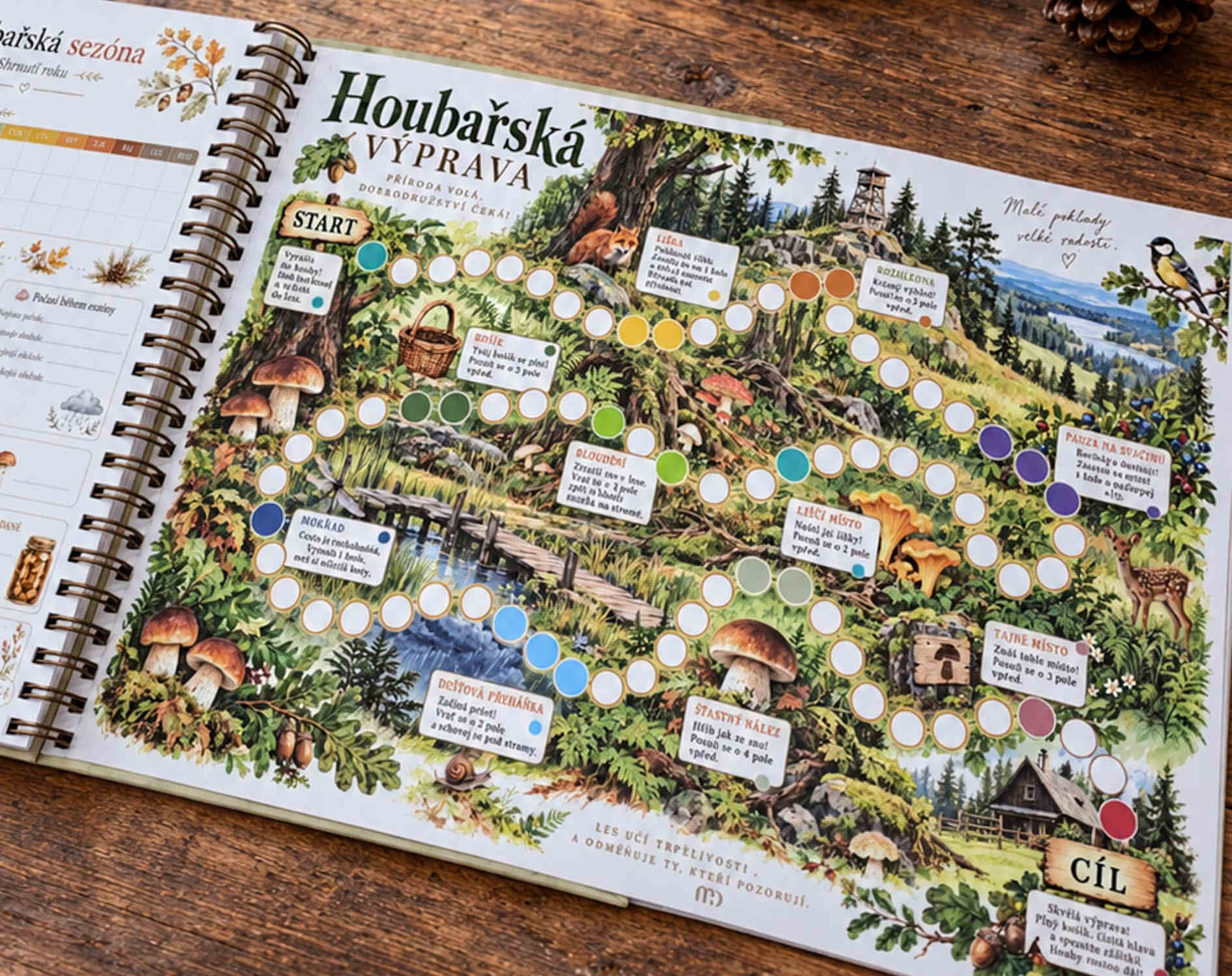 Houbařská výprava – stolní hra