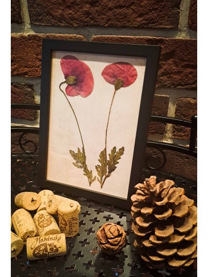 Přírodní obrázek - Vlčí mák