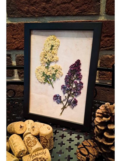 Přírodní obrázek - Šeřík