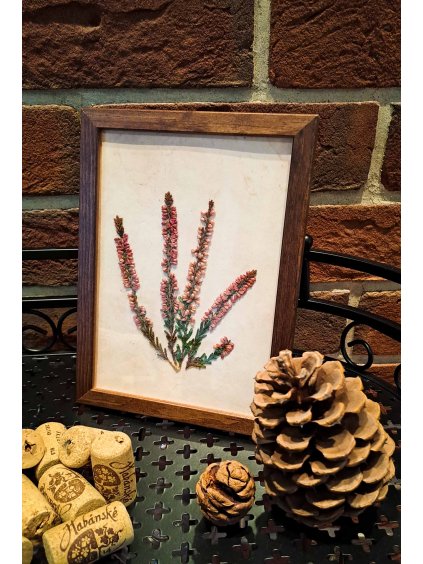 Přírodní obrázek - Vřes obecný