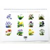 Nedatovaný plánovací kalendář A4 (na šířku, na zeď) - Rozkvetlá příroda