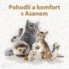 stelivo pro kocky a fretky asan cat pure 10 l