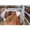3552 1 drbadlo pruzinove kerbl texas 02