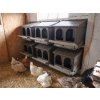 4586 8 snaskove hnizdo pro slepice se sbernym kosikem na vejce kerbl 73146 dvoumistne 9