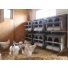 4586 9 snaskove hnizdo pro slepice se sbernym kosikem na vejce kerbl 73146 dvoumistne 10