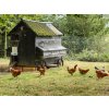 4595 14 komplet automatickeho otevirani a zavirani kurniku chicken guard all in one 17
