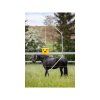 lapac much kbelikovy flycage6 vcetne navnady