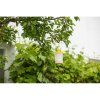 lapac much flycage3 vcetne navnady 25g
