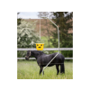 4676 6 lapac much vcetne navnady kerbl cit flycage6 7