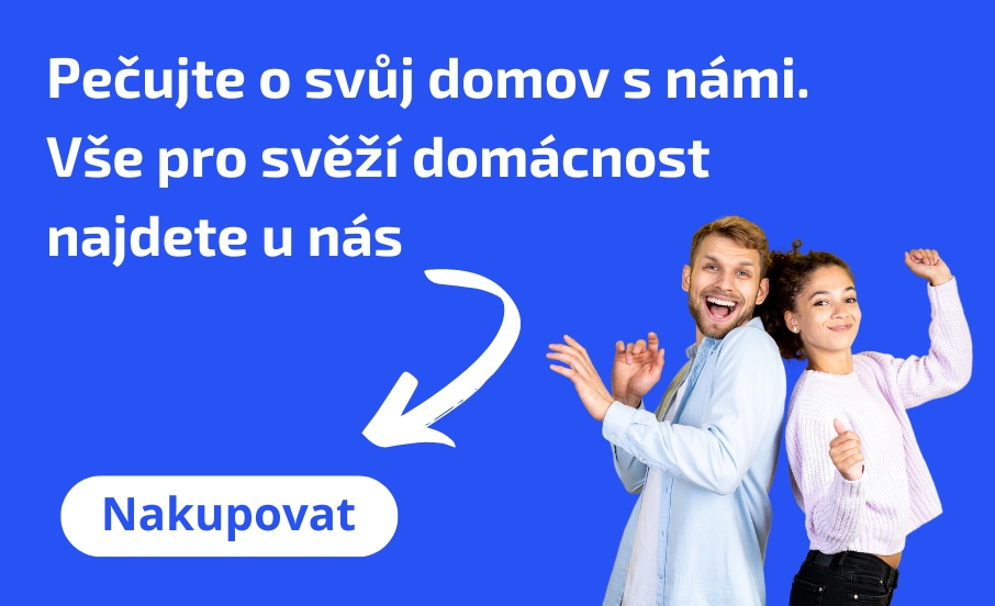 Domácnost