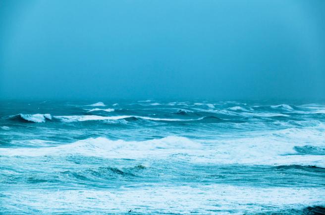 8.6. Světový den oceánů