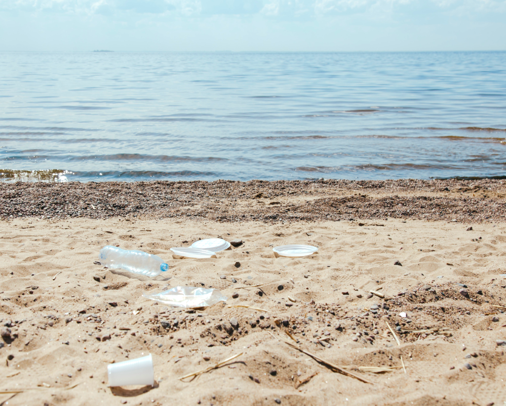 Znečištění pláží