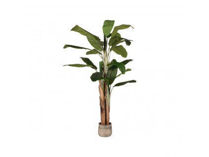 Umělá rostlina Musa - zelený plast