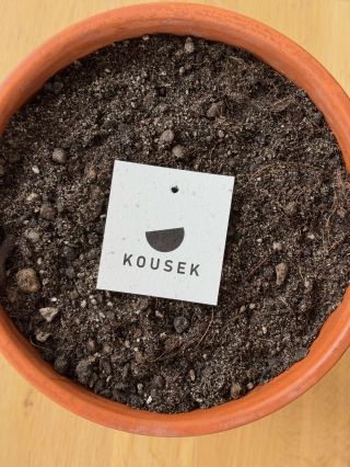 Kousek zeleně ke každé objednávce 🌱🌱🌱 #mujkousek #udrzitelnamoda