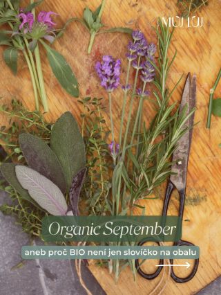 Září patří BIO. 🌿 A nejen na talíři. Organic September je měsíc věnovaný ekologickému zemědělství a větší pozornosti tomu,...