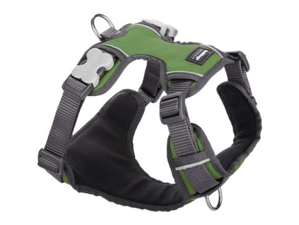 Postroj RD polstrovaný XS - 31-43 cm - Zelená