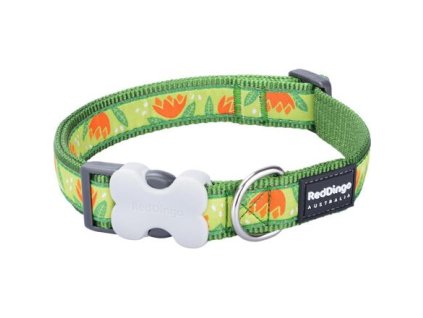 Red Dingo obojek – Tropical Green – 15 mm x 24-36 cm