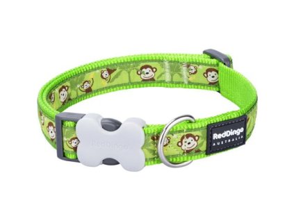 Red Dingo obojek – Monkey Lime Green – 20 mm x 30-47 cm