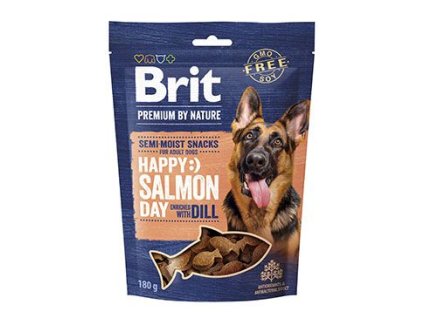 Brit Premium Dog by Nature SM Snacks Salmon 180g