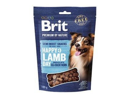 Brit Premium Dog by Nature SM Snacks Lamb 180g