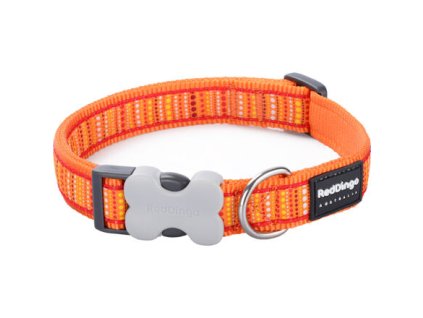 Red Dingo obojek – Lotzadotz Orange – 15 mm x 24-36 cm
