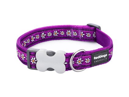 Red Dingo obojek – Daisy Chain Purple – 25 mm x 41-63 cm