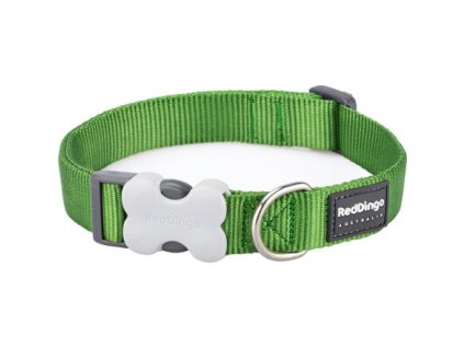 Red Dingo obojek – Green – 20 mm x 30-47 cm