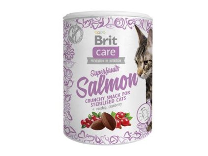 Brit Care Cat Snack Superfruits Salmon 100g EXP 24/10/2025