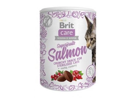 Brit Care Cat Snack Superfruits Salmon 100g