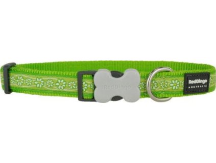 obojek rd daisy chain lime