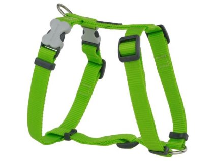 Red Dingo postroj – Lime – 12 mm x 30-44 cm