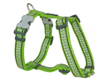 Red Dingo postroj reflexní – Bones Lime – 15 mm x 36-54 cm