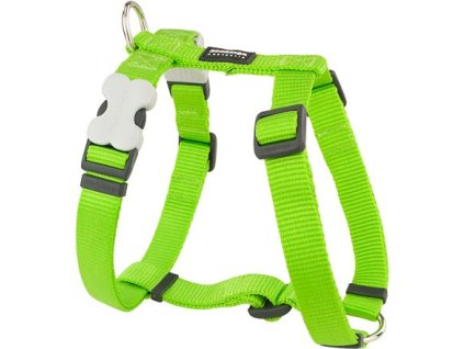Red Dingo postroj – Lime – 15 mm x 36-54 cm