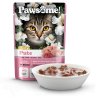 Pawsome! Adult light s krůtím masem 85 g
