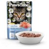 Pawsome! Adult light s lososem 85 g