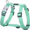 Red Dingo postroj – Green Pastel – 15 mm x 36-54 cm